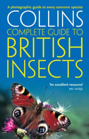 British Insects: A photographic guide to every common species by Michael Chinery