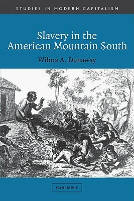 Slavery in the American Mountain South by Wilma A. Dunaway