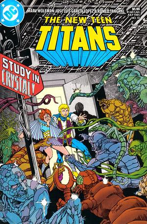 The New Teen Titans by Marv Wolfman