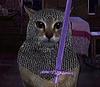 duchessaelisa's profile picture
