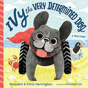 Ivy the Very Determined Dog by Chris &amp; Maureen Harrington, Charlotte Bruijn