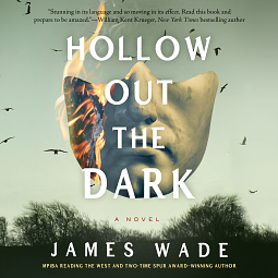 Hollow Out the Dark by James Wade