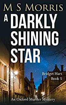 A Darkly Shining Star by M.S. Morris
