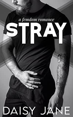 Stray by Daisy Jane