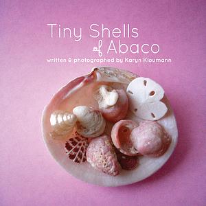 Tiny Shells of Abaco by Karyn Kloumann