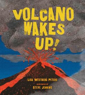 Volcano Wakes Up! by Lisa Westberg Peters