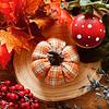 the_tartan_pumpkin_reader's profile picture