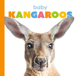 Baby Kangaroos by Kate Riggs