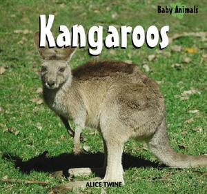 Kangaroos by Alice Twine