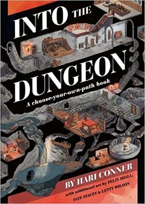 Into the Dungeon - A choose-your-own-path book by Hari Conner