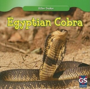 Egyptian Cobra by Jessica O'Donnell