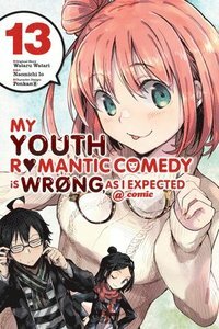 My Youth Romantic Comedy Is Wrong, As I Expected, Vol. 13 by Wataru Watari