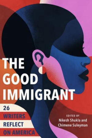 The Good Immigrant: 26 Writers Reflect on America by 