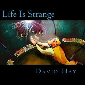 Life Is Strange by David Hay