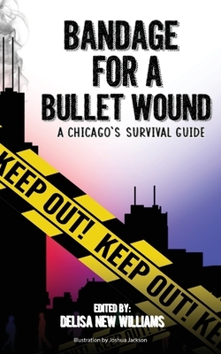 Bandage for a Bullet Wound: A Chicago's Survival Guide by Cohort #12