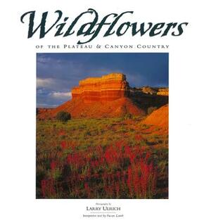 Wildflowers of the Plateau & Canyon Country by Susan Lamb