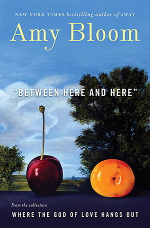 Between Here and Here by Amy Bloom