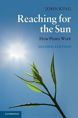 Reaching for the Sun by John King