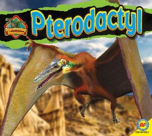 Pterodactyl by Aaron Carr