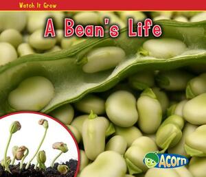 A Bean's Life by Nancy Dickmann