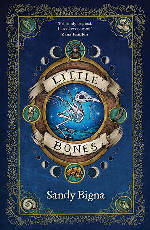 Little Bones by Sandy Bigna