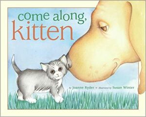 Come Along, Kitten by Joanne Ryder