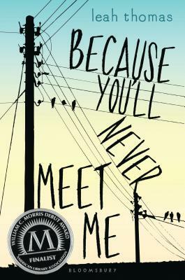 Because You'll Never Meet Me by Leah Thomas