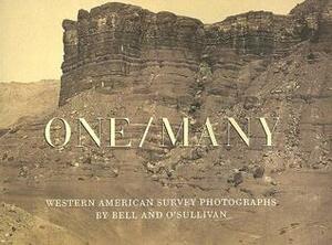 One/Many: Western American Survey Photographs by Bell and O'Sullivan by Josh Ellenbogen, Joel Snyder