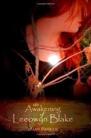 The Awakening of Leeowyn Blake by Mary Parker