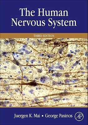 The Human Nervous System by 