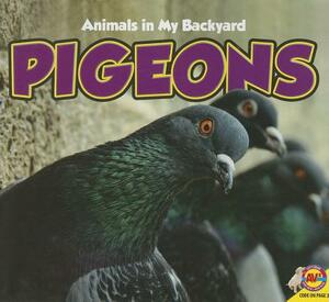 Pigeons by Aaron Carr