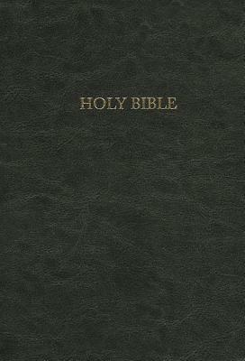 Pursuit of God Bible-NIV by 