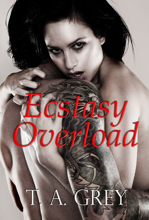 Ecstasy Overload by T.A. Grey