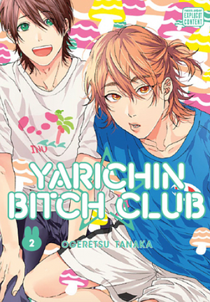 Yarichin Bitch Club, Vol. 2 by Ogeretsu Tanaka