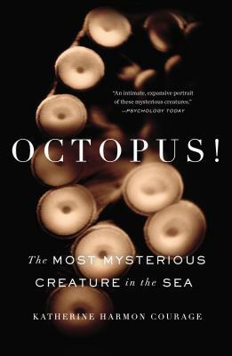 Octopus!: The Most Mysterious Creature in the Sea by Katherine Harmon Courage