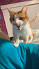 fine_literature_viles5's profile picture