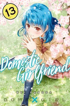 Domestic Girlfriend, Vol. 13 by Kei Sasuga