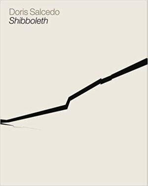 Doris Salcedo: Shibboleth by Achim Borchardt-Hume
