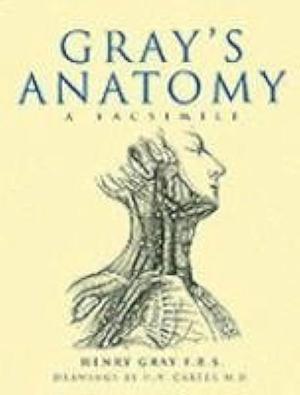 Anatomy Descriptive and Surgical by Henry Gray