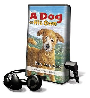 A Dog on His Own by Mary Jane Auch