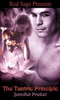 The Tantric Principle by Jennifer Probst