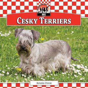 Cesky Terriers by Kristin Petrie