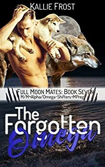 The Forgotten Omega by Kallie Frost