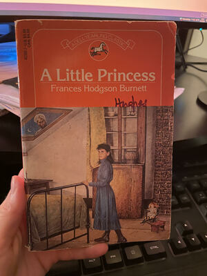 A Little Princess by Frances Hodgson Burnett