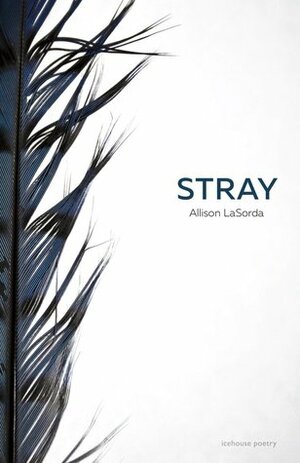 Stray by Allison Lasorda