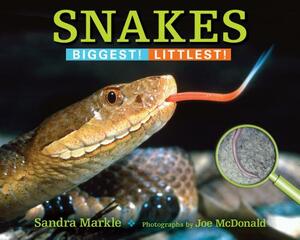 Snakes: Biggest! Littlest! by Sandra Markle