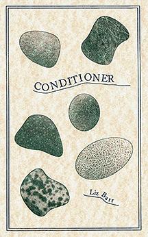 Conditioner by Liz Barr