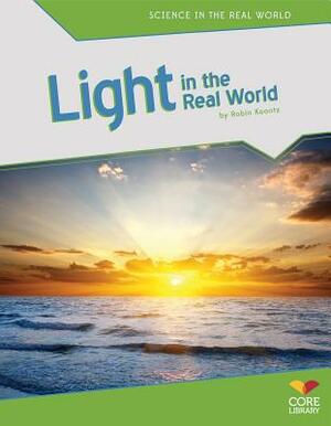 Light in the Real World by Robin Michal Koontz