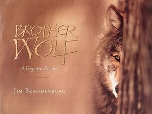 Brother Wolf: A Forgotten Promise by Jim Brandenburg