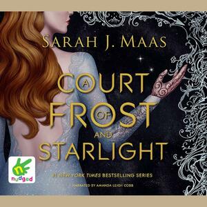 A Court of Frost and Starlight by Sarah J. Maas